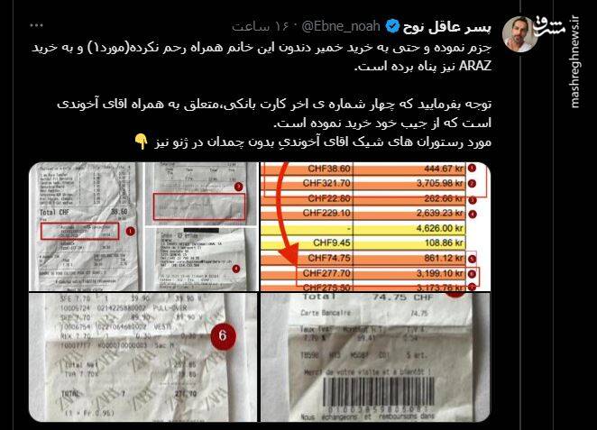 کمکهای مالی برباد رفته اغتشاشات در جیب نماینده سوئد