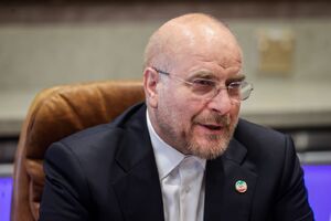 ایرانیان مقیم خارج از کشور باید در مجلس نماینده داشته باشند / تبادل اقتصادی با ایرانیان خارج کشور ضروری است