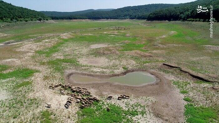 آغاز بحران آب در غرب ترکیه