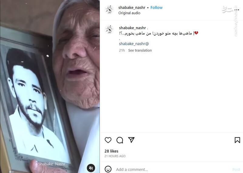 ماهیها بچه منو خوردن؛ من ماهی نمیخورم