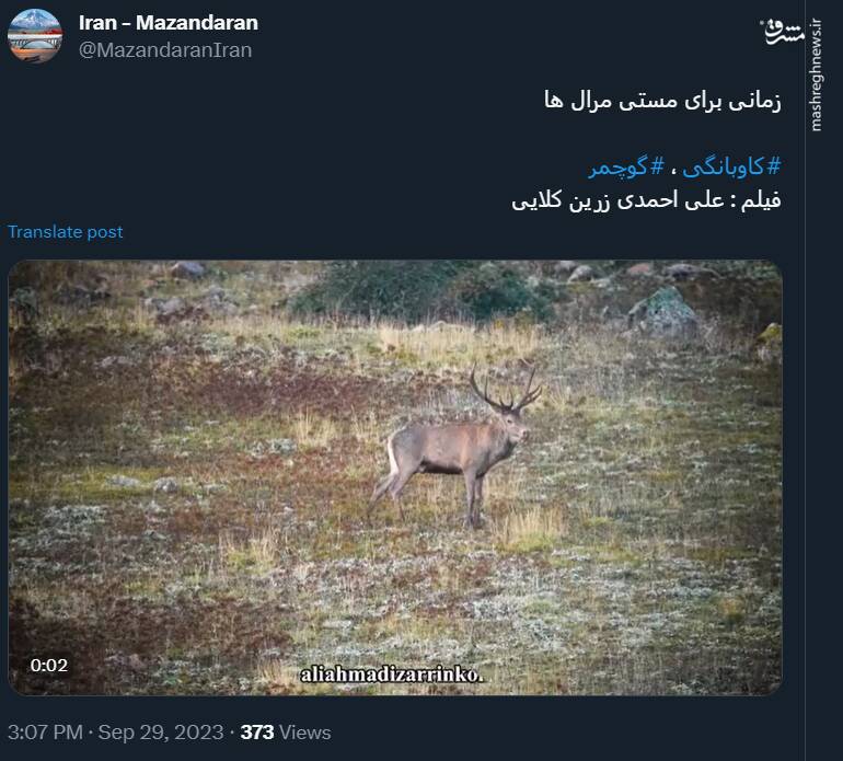زمانی برای مستی مرالها +فیم