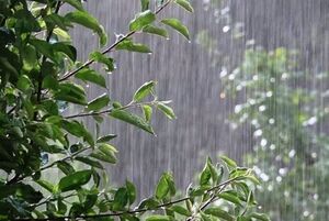 احتمال بارش باران در تهران / هشدار نارنجی برای گیلان و شمال غرب کشور
