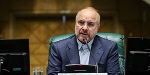 محیط زیست از دغدغههای اصلی کشور است / در لایحه برنامه هفتم مباحث مربوط به محیط زیست جامع و کامل نبود