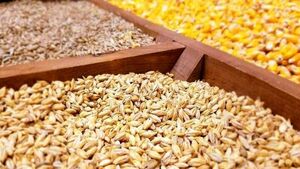 سقف قیمت ارزی واردات کالای اساسی تعیین شد