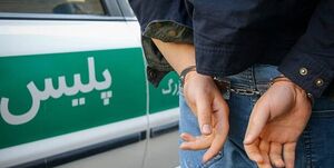سارق اموال داخل تاکسی‌های اینترنتی دستگیر شد