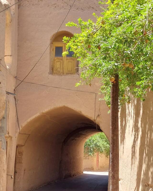 لحظهای در کوچهباغهای تفت +عکس