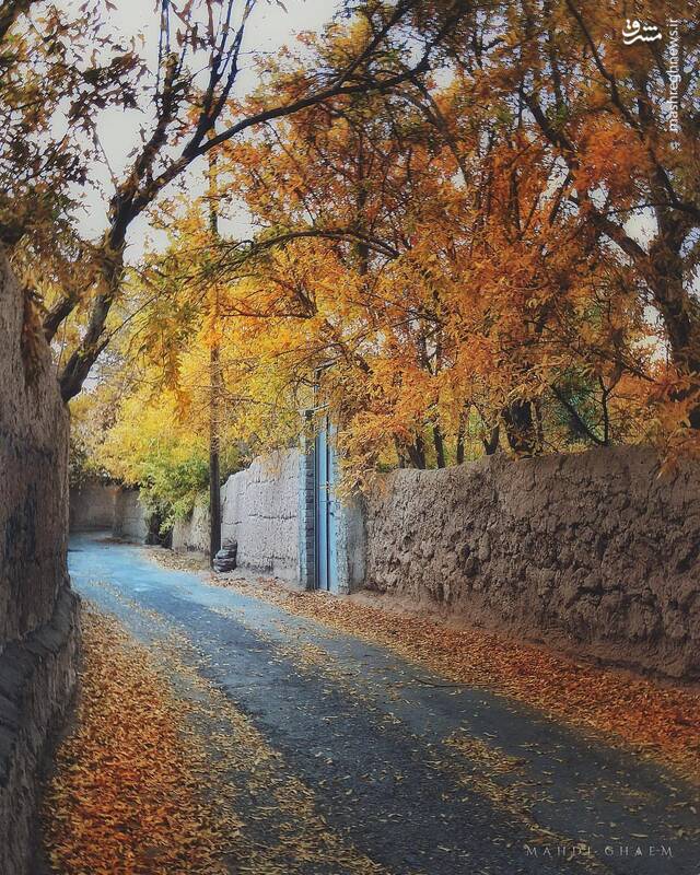 پاییز در کوچههای یزد +عکس