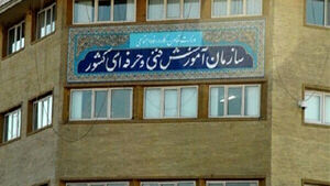 معرفی سازمان فنی و حرفهای کشور + معرفی، آدرس و شماره تماس