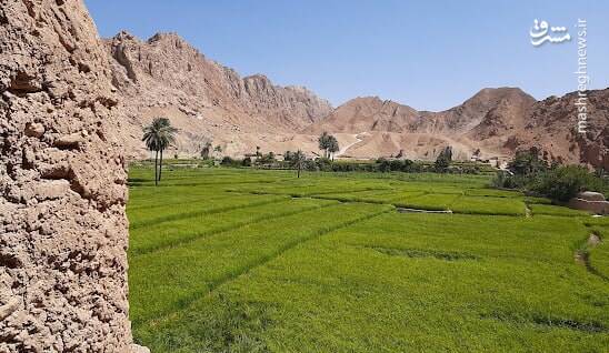 ایران زیبای من: روستای ازمیغان +عکس