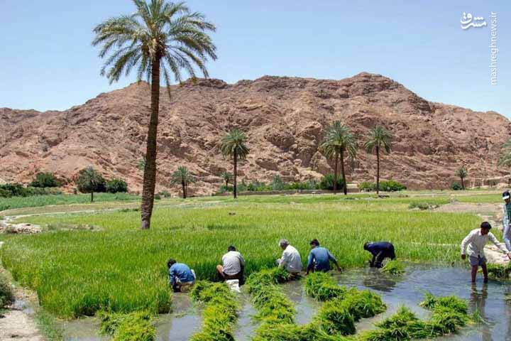 ایران زیبای من: روستای ازمیغان +عکس