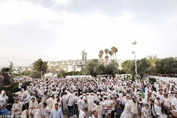 مسجدالاقصی، همچنان زیر هجوم صهیونیستها