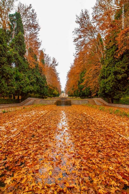 غوغای پاییز در باغ شاهزاده ماهان