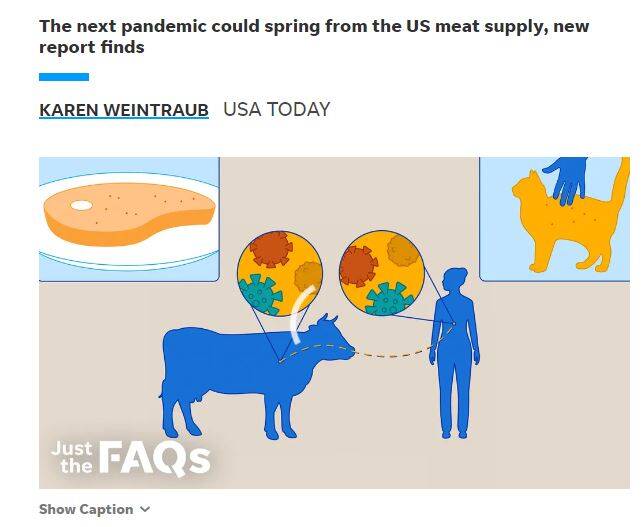 هراسافکنی تازه از سازمان جهانی بهداشت/ گوشت نخورید تا جلوی «همهگیری» بعدی گرفته شود!