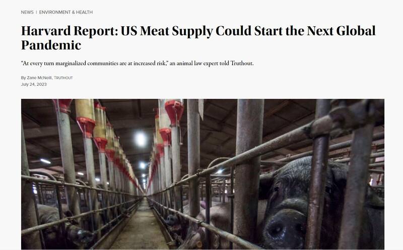 هراسافکنی تازه از سازمان جهانی بهداشت/ گوشت نخورید تا جلوی «همهگیری» بعدی گرفته شود!