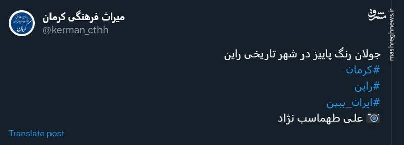 جولان رنگ پاییز در شهر تاریخی راین +عکس