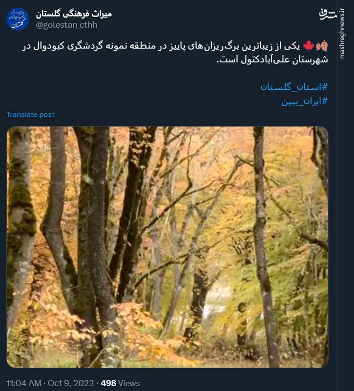 یکی از زیباترین برگریزانهای پاییز در کبودوال