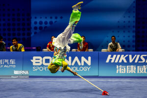 کارنامه ورزشهای رزمی ایران در هانگژو؛ ضعیف و دور از انتظار از نظر کیفی / لزوم خانه تکانی در ورزشکاران و کادرفنی!
