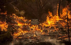 آتش به جان جنگل‌های آرژانتین افتاد