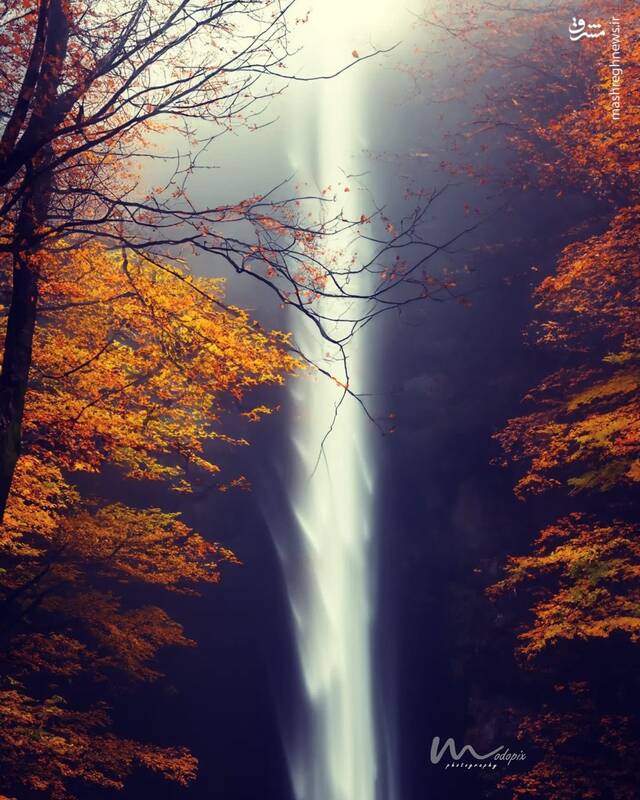 نمایی چشمنواز از طبیعت پاییزی تنکابن