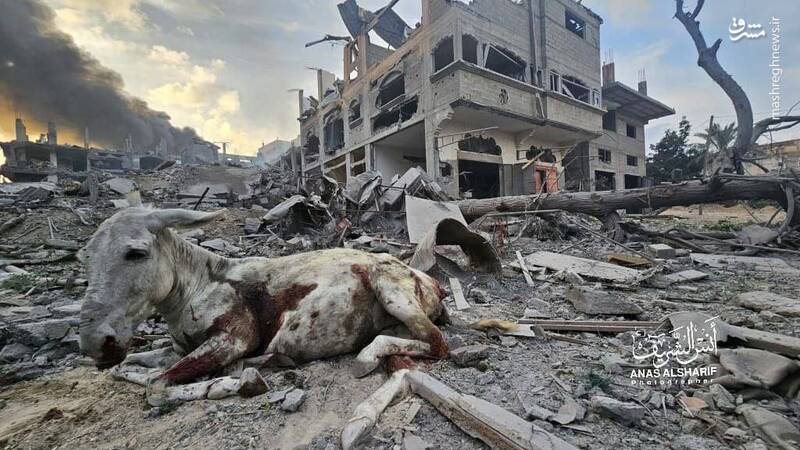 اسرائیل بدنبال ارائه تصویری صلحجو از جنایاتش است