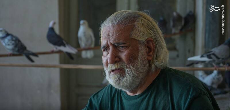 حیثیت گمشده حیثت جان ویک را چگونه برد؟ / فیلیمو وارد فاز تولیدات قهوهخانهای شد