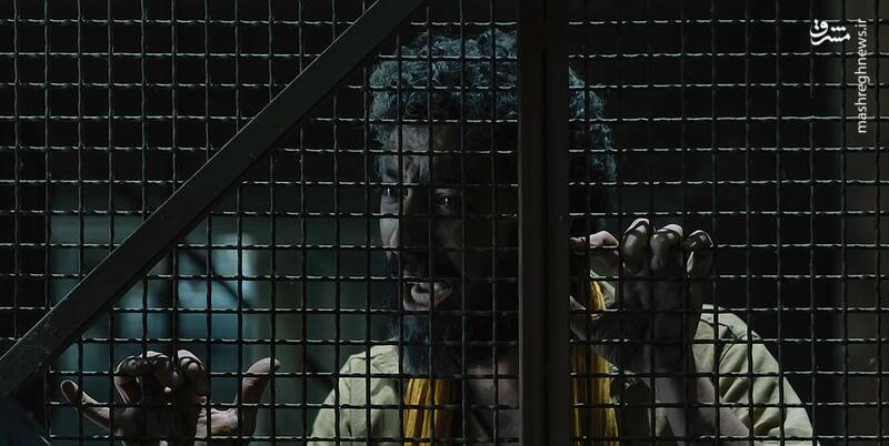 حیثیت گمشده حیثت جان ویک را چگونه برد؟ / فیلیمو وارد فاز تولیدات قهوهخانهای شد