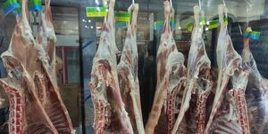 اعلام آمادگی ۲۵ کشور جهان برای واردات گوشت به ایران