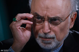 شکایت دولت از گرانی و ناکارآمدی! / صالحی: اگر "غیرت عربی" بود، اسرائیل نمیتوانست کاری بکند