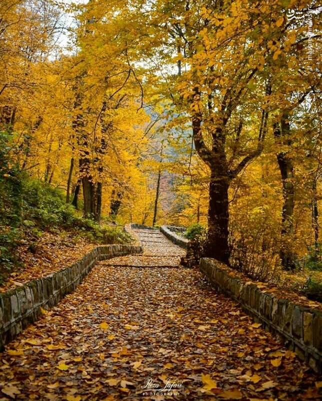 زیبایی مسحور کننده پاییز در طبیعت گلستان 2
