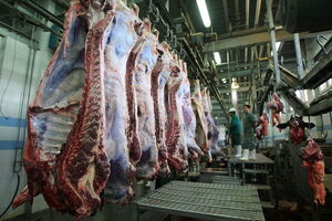 کاهش قیمت در بازار گوشت در گرو مدیریت واردات
