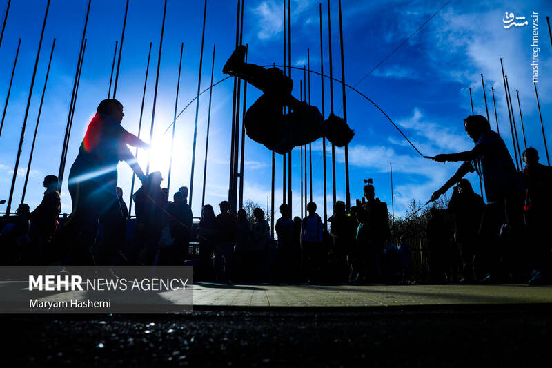 یک نان خور دیگر هم اضافه شد!