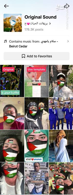 طوفان چالش "سلام یامهدی" در فضای مجازی