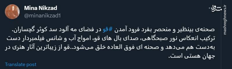 صحنه منحصر بفرد فرود آمدن قو در فضای مه آلود سد کوثر