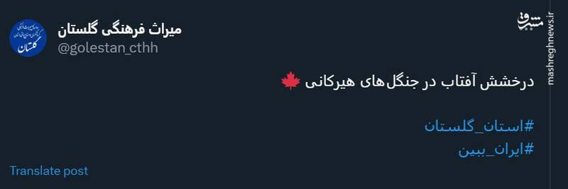 درخشش آفتاب در جنگلهای هیرکانی + عکس