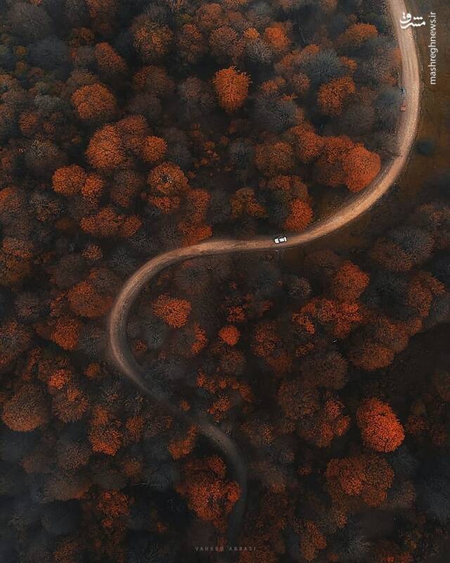 چند قاب زیبا از روزهای پاییزی مازندران