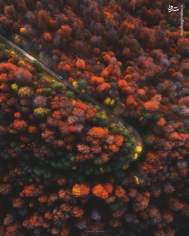 چند قاب زیبا از روزهای پاییزی مازندران