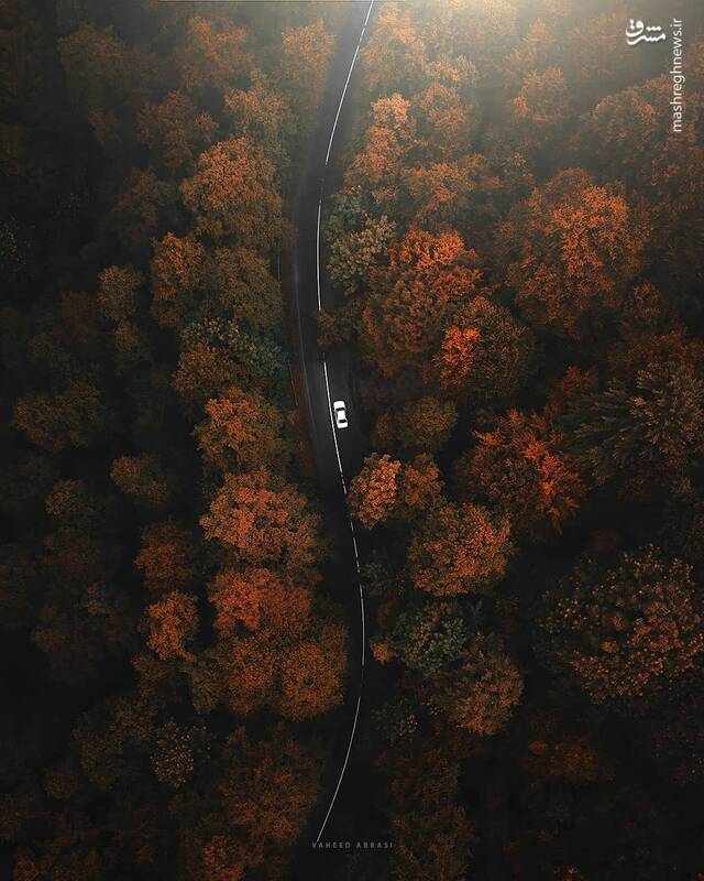 چند قاب زیبا از روزهای پاییزی مازندران