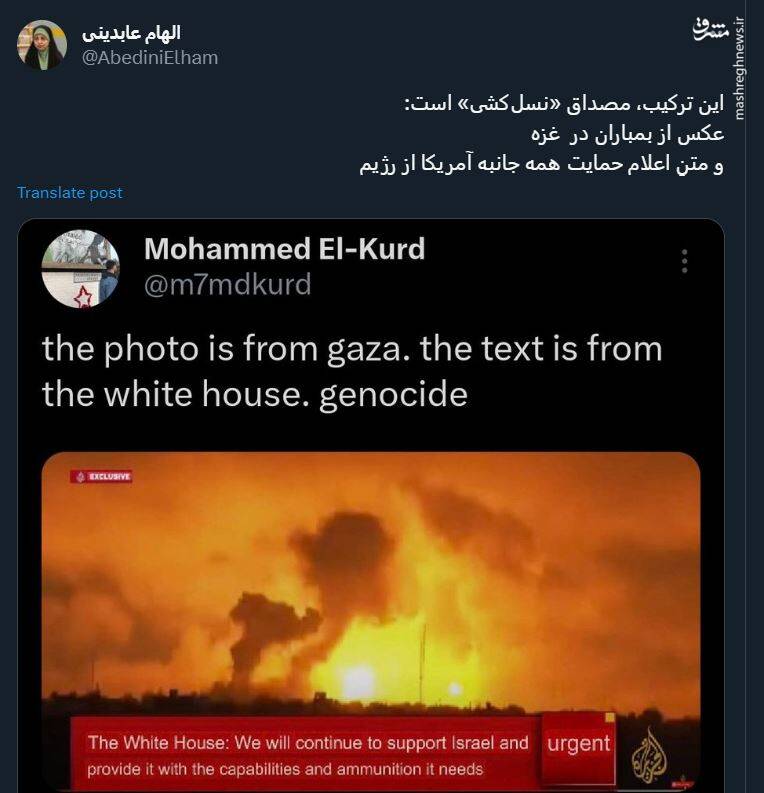 این ترکیب، مصداق «نسلکشی» است