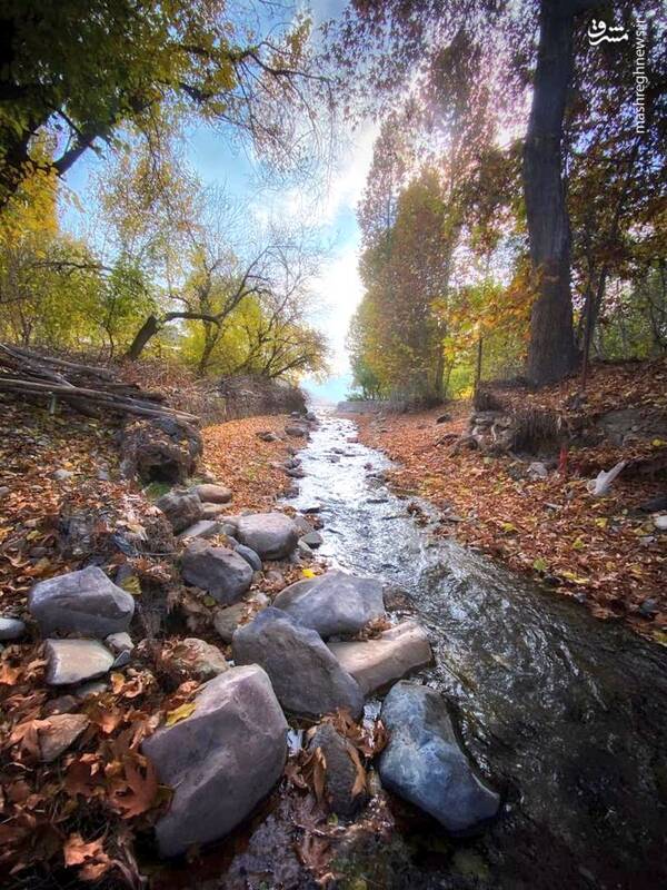 نمایی از پاییز هزار رنگ تفرش