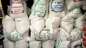 قیمت برنج ایرانی چند؟ / جدول قیمت