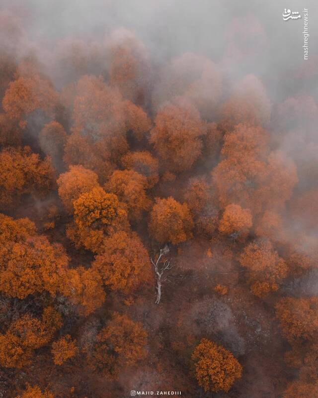 تصویری زیبا از پاییز شگفت انگیز در مازندران