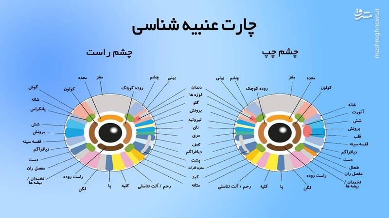 بازار داغ شیادی پزشکی در فضای مجازی / این داستان "عنبیه شناسی" روشی موفق برای تشخیص بیماری ها!