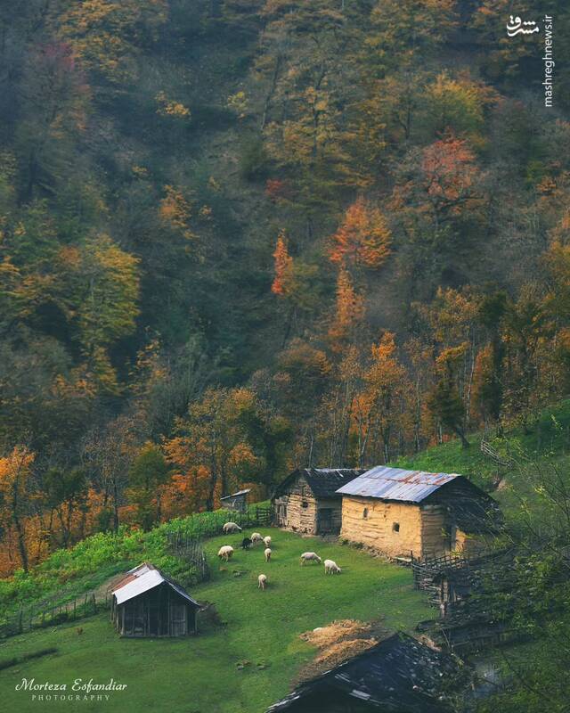 پاییزگردی در ارتفاعات ماسال گیلان +عکس