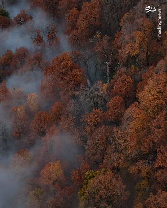 ۳ قاب زیبای پاییزی از ارتفاعات مازندران