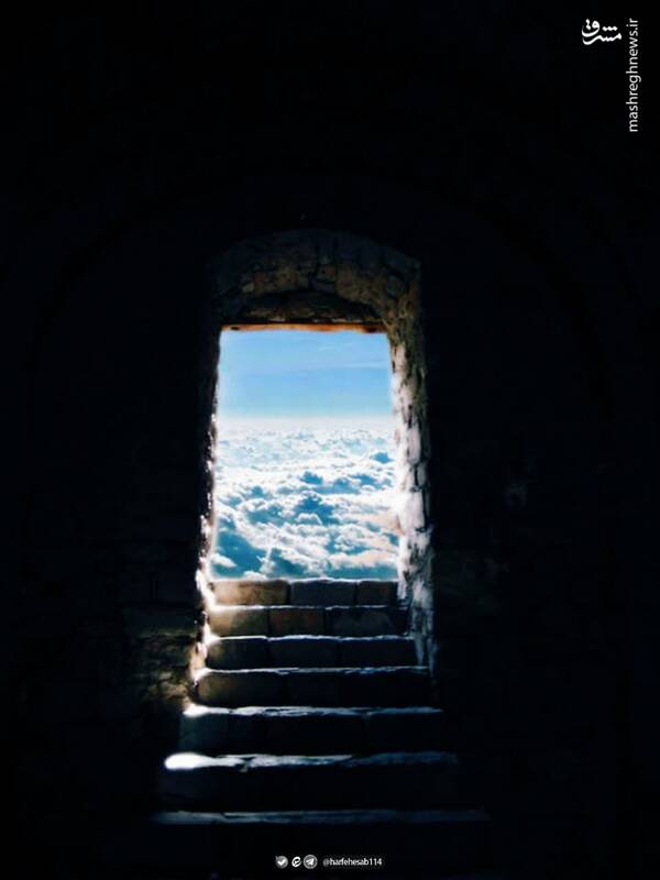 قرار است شبیه خدا شویم