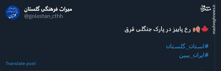 رخ پاییز در پارک جنگلی قرق