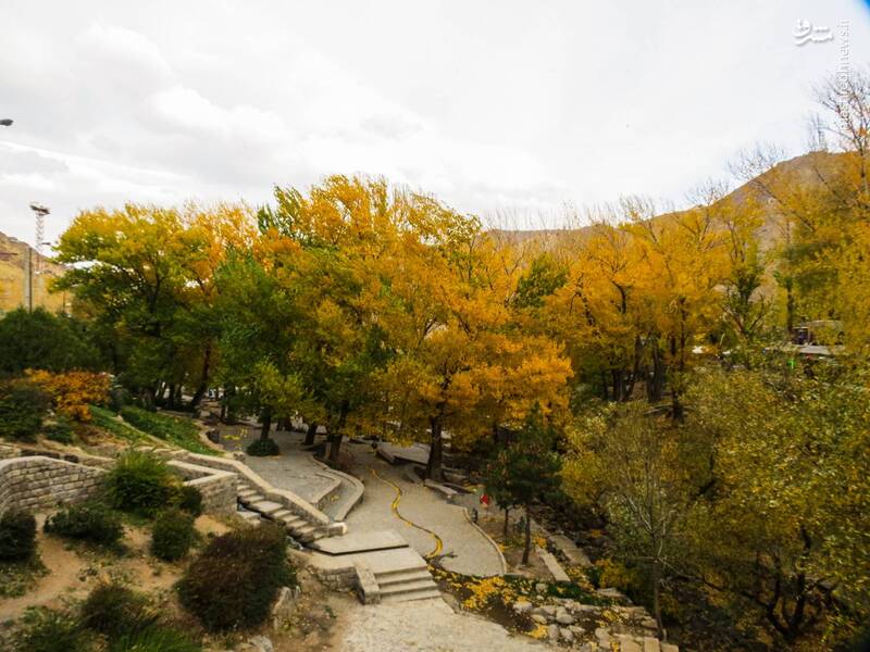 پاییز هزار رنگ در گنجنامه همدان