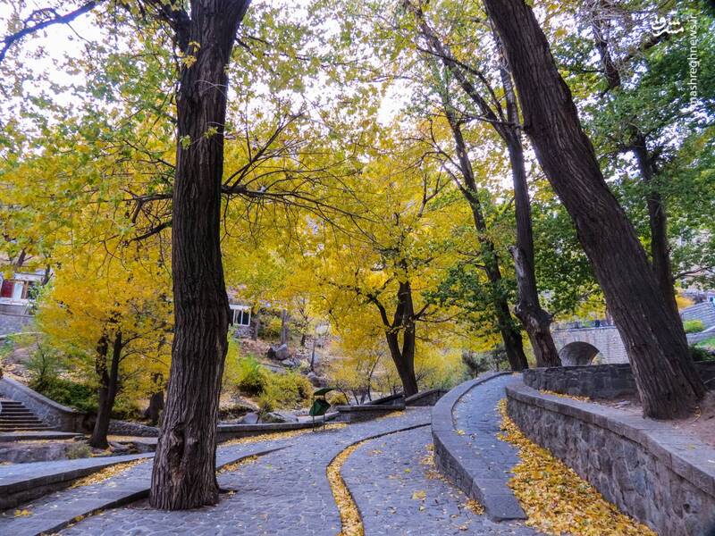 پاییز هزار رنگ در گنجنامه همدان