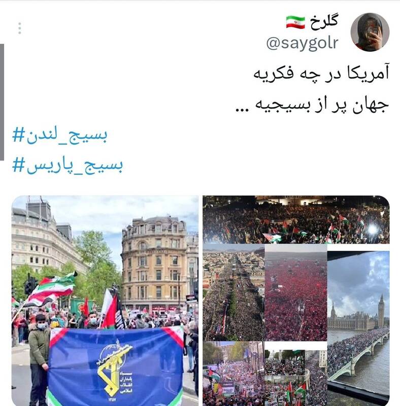 واکنش‌ها به تشکیل بسیج در لندن و فرانسه