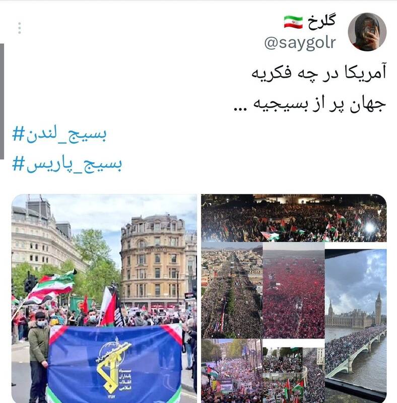 واکنشها به تشکیل بسیج در لندن و فرانسه